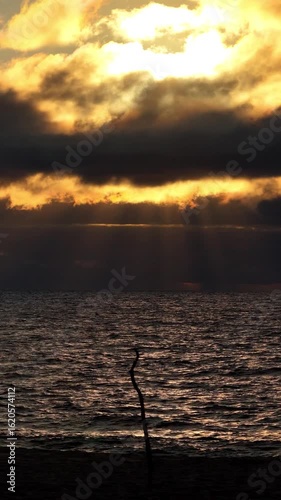 Un bâton sur la plage vertical