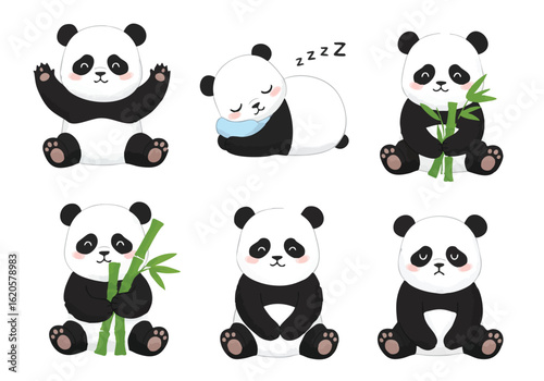 Adorable Pandas in Various Cute Poses Showing Their Playful and Sleepy Nature