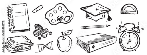 Set of school equipment note book, paints palette, book, apple, alarm clock, dna in black brush stroke texture isolated on white. Hand drawn vector sketch illustration in vintage charcoal ink