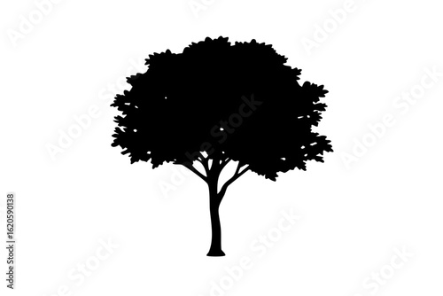 Silhouette of a person playing a guitar music