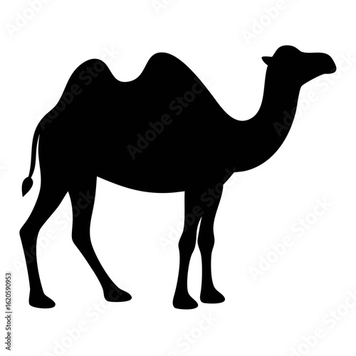 Camel silhouette vector illustration