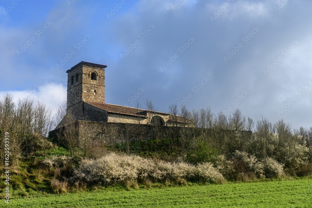 Fototapeta premium Church of Santa Eulalia in Las Heras de Palencia surrounded by trees