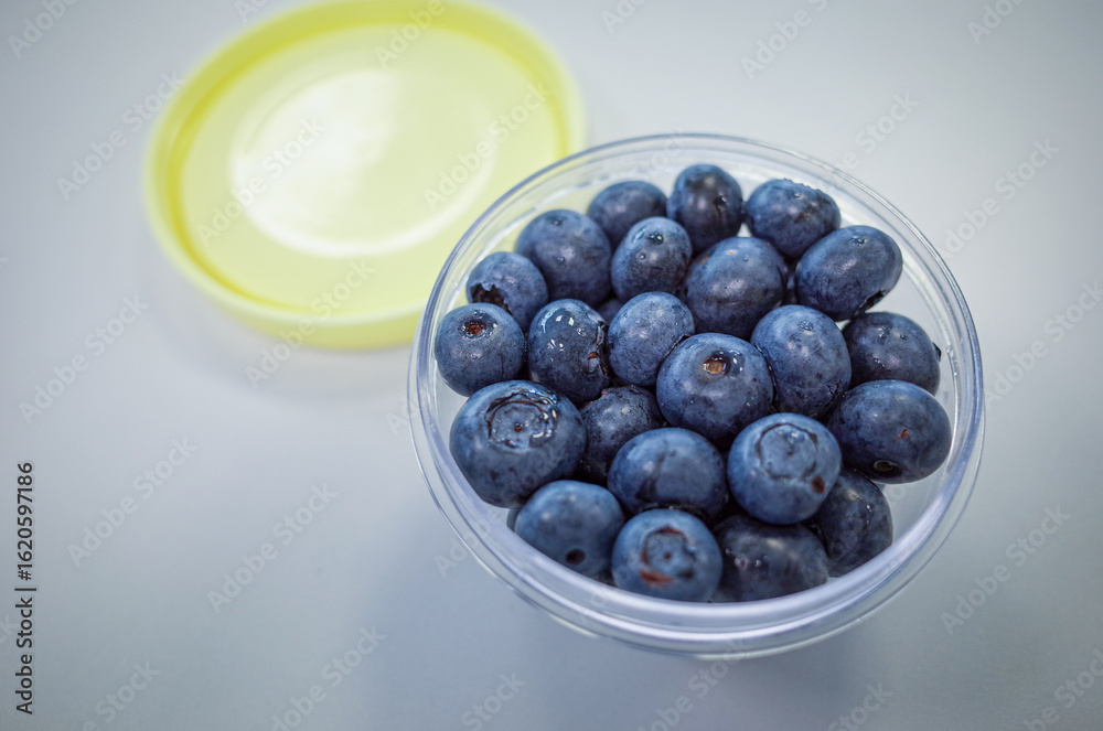 Macro Shot of Fresh Blueberries Macro Shot of Fresh Blueberries