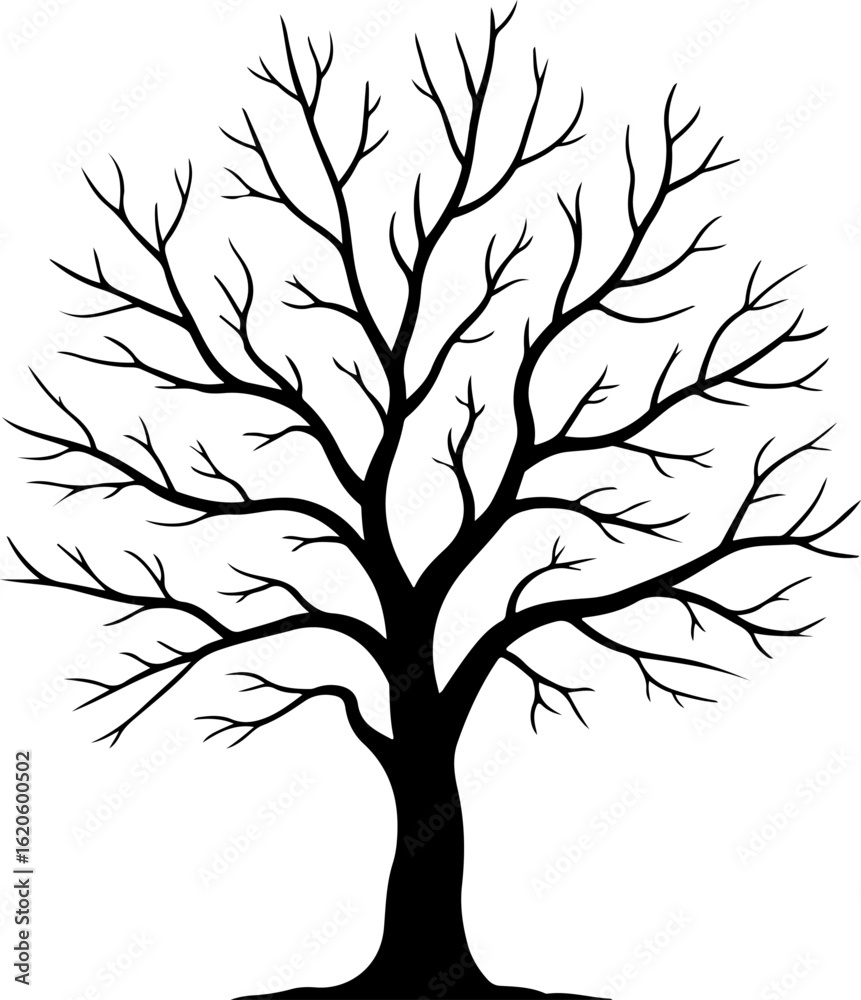 Obraz premium silhouette vector of a bare autumn tree with leafless branches 