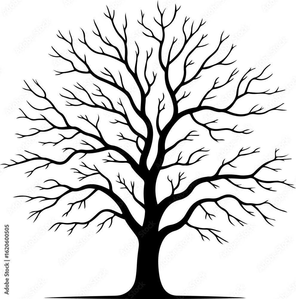Obraz premium silhouette vector of a bare autumn tree with leafless branches 