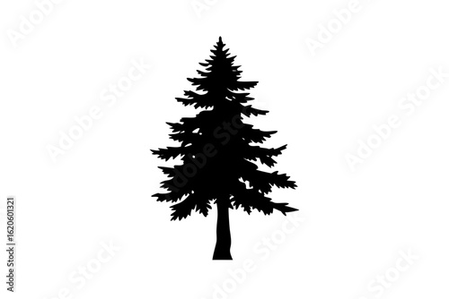 Silhouette of a Giant Redwood Tree ancient tree giant tree