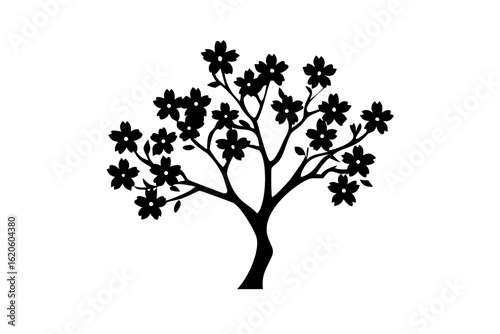 Blooming Dogwood Tree Silhouette white background nature