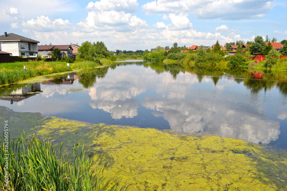 Fototapeta premium quiet summer pond in the village