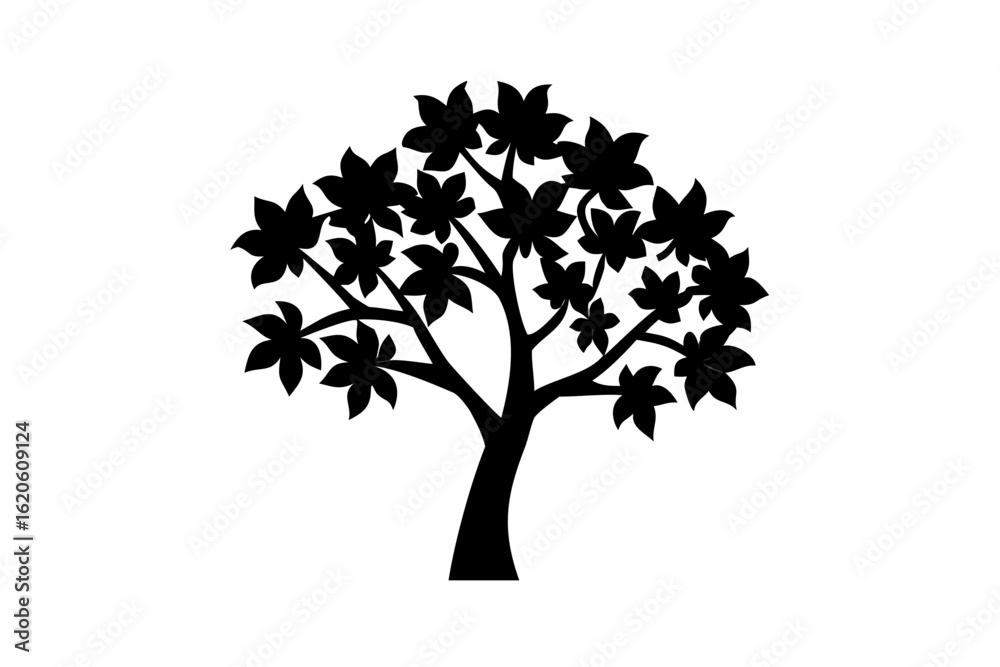 Obraz premium Blooming Teak Tree Silhouette nature