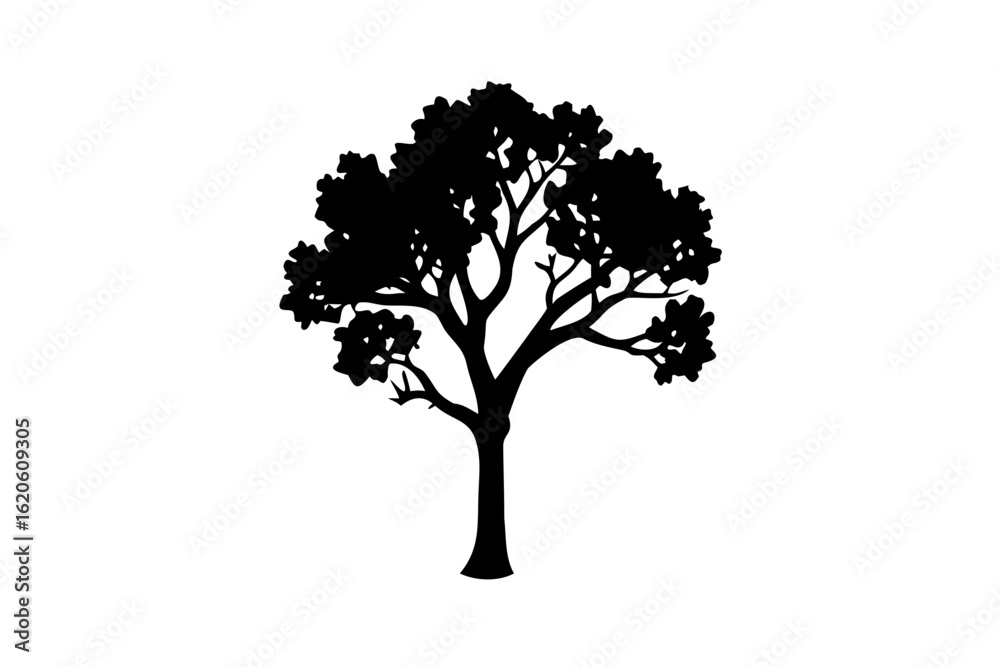 Obraz premium Blue Cottonwood Tree Silhouette on White Background