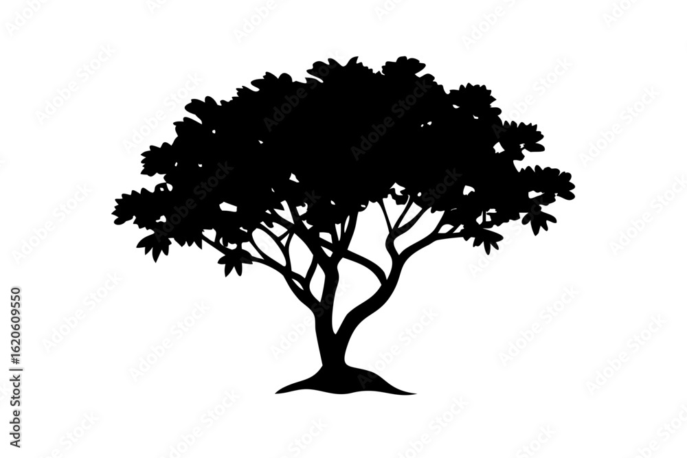 Fototapeta premium Blue mangrove tree silhouette on white background nature