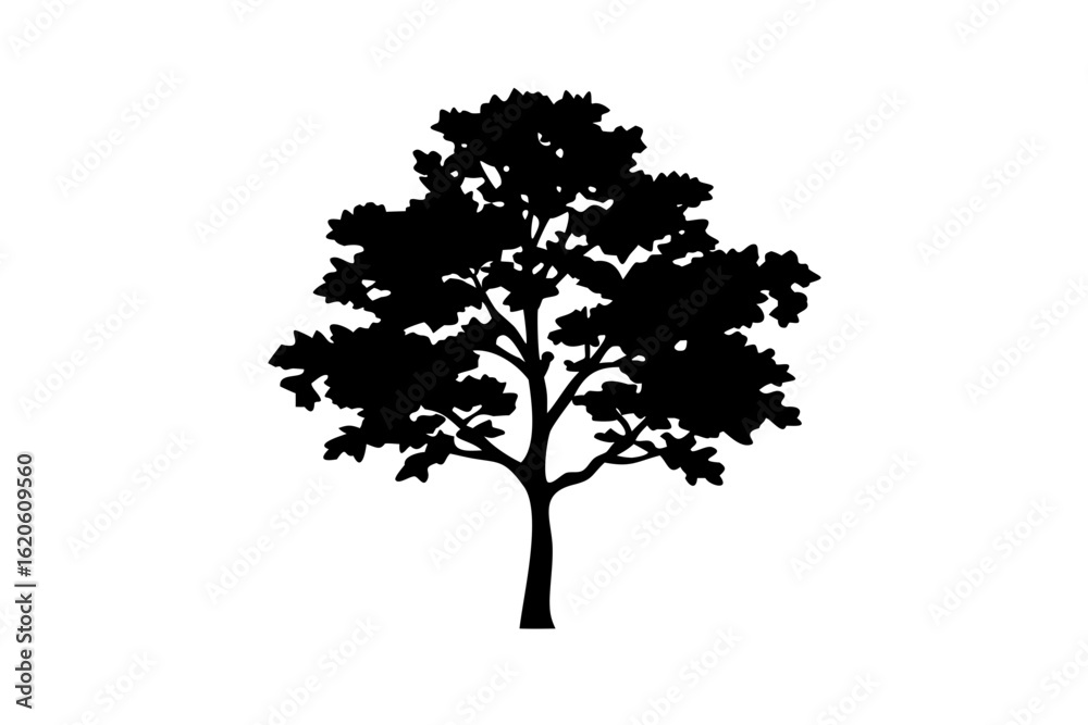 Obraz premium Blue Maple Tree Silhouette on White Background nature