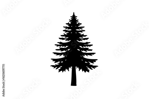Blue Redwood Tree Silhouette nature forest