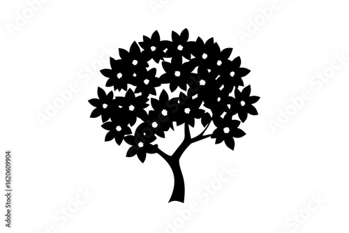 Sapodilla Tree Silhouette with Blossoms on White Background