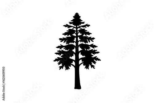 Sequoia Tree Silhouette with Blooming Branches vector