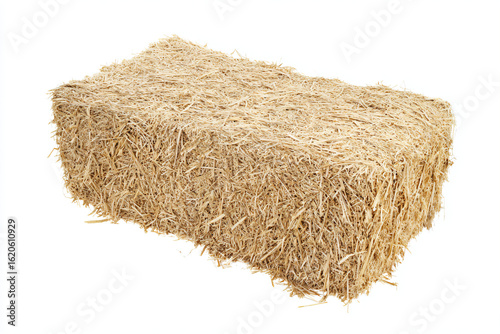 a pile of hay on a white background