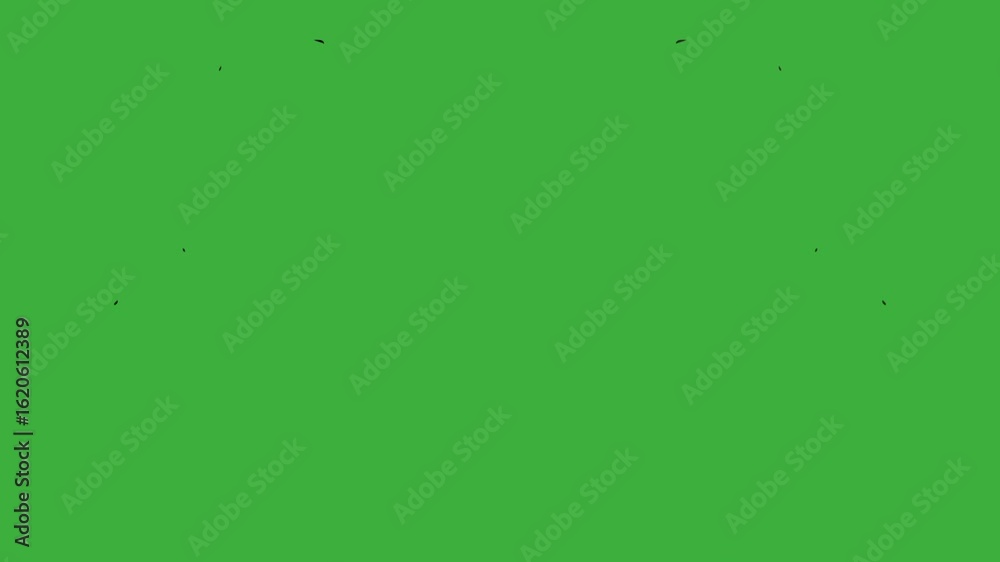 Animation video smoke element effect moving on green screen background Animation video smoke element effect moving on green screen background