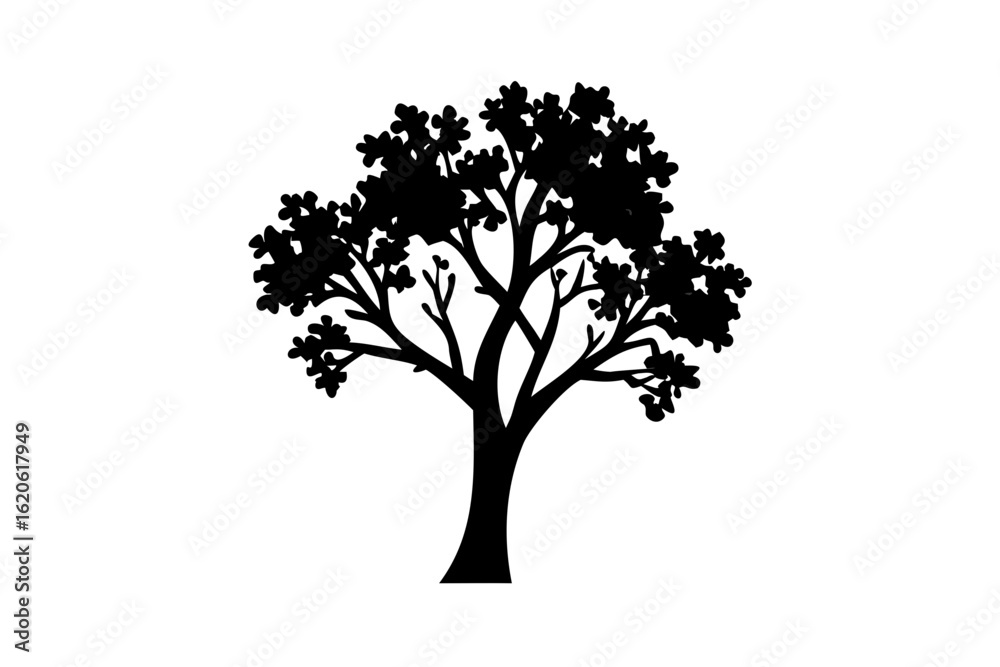 Obraz premium Blooming Ironwood Tree Silhouette With White Flowers