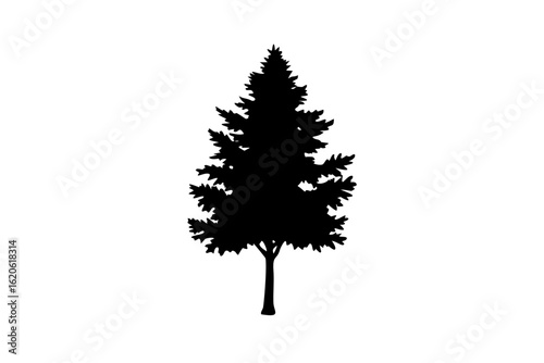 Blue Alder Tree Silhouette on White Background nature