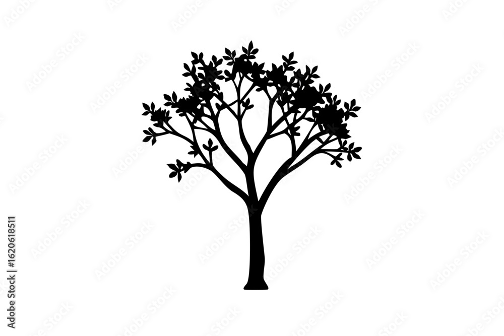 Fototapeta premium Blue Dogwood Tree Silhouette nature plant