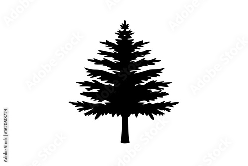 Blue Redwood Tree Silhouette nature forest