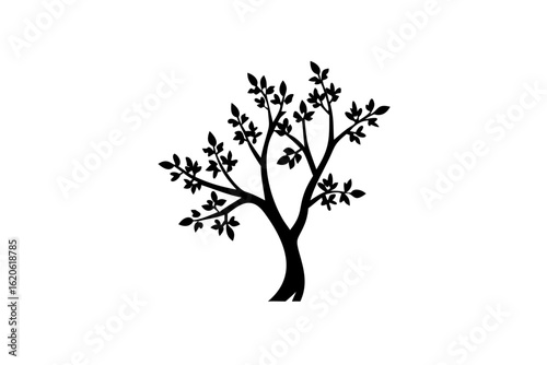 Konstfotografi Silhouette of a blooming locust tree on a white background