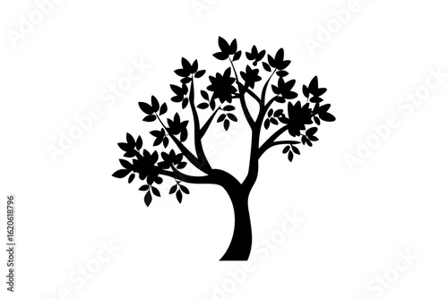 Silhouette of a blooming olive tree on a white background