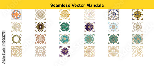 Intricate floral mandala patterns in various colors and styles vector