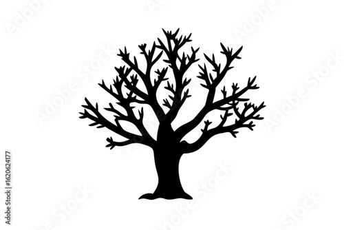 Desert Dogwood Tree Silhouette on White desert plant