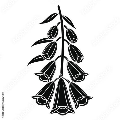 Black silhouette of foxglove flowers on a white background digitalis plant