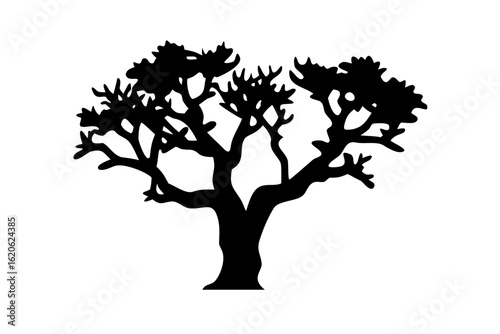 Desert Oak Tree Silhouette on White Background nature