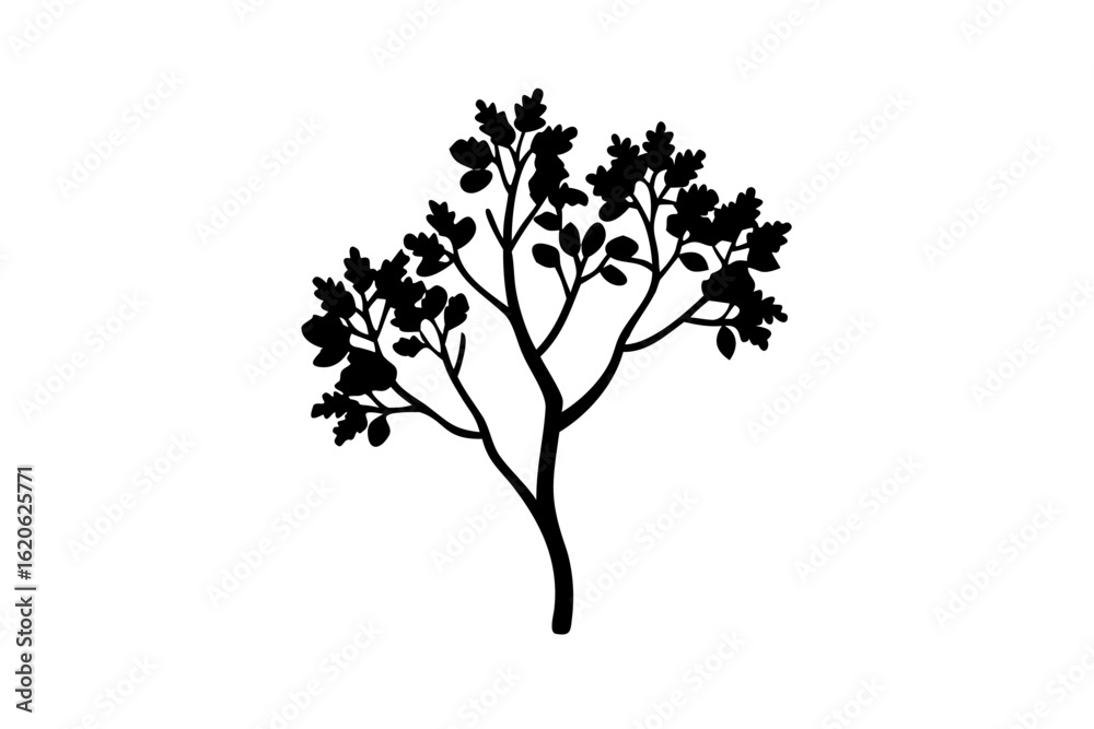 Fototapeta premium Dwarf Rowan Tree Silhouette nature plant