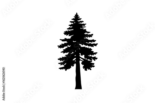 Silhouette of a Giant Sequoia tree on a white background