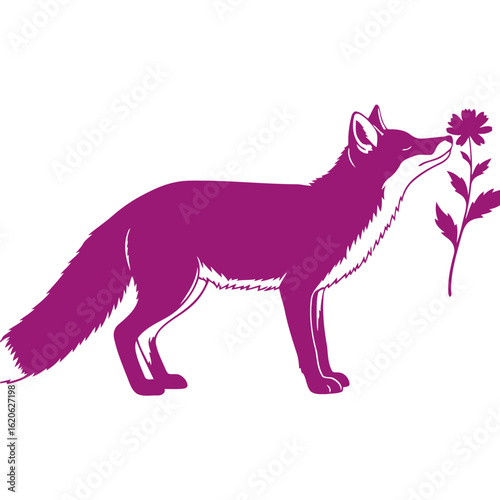 profile view of a purple fox gently sniffing a delicate flower, isolated on transparent background