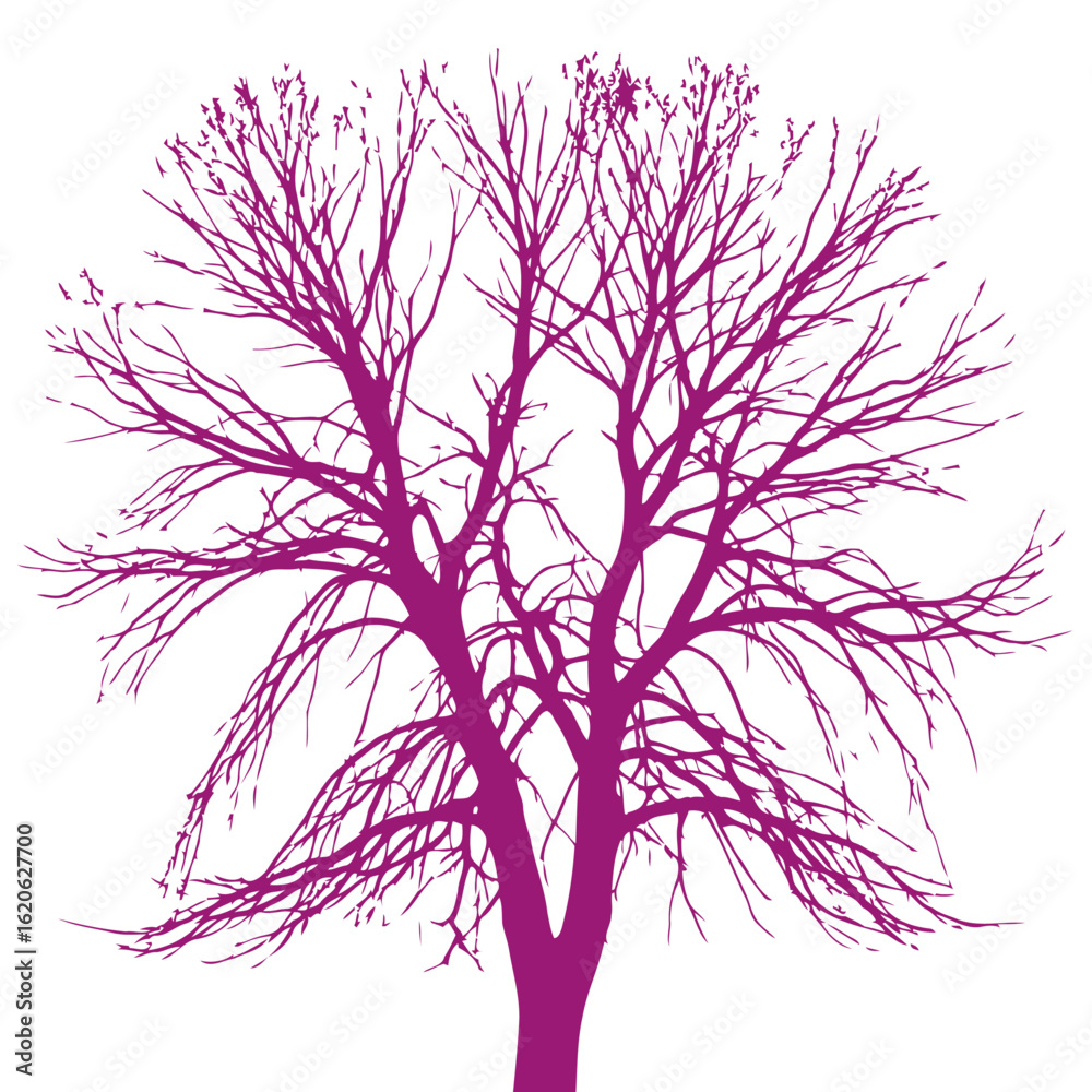 Obraz premium majestic purple tree silhouette isolated on transparent background: vector illustration