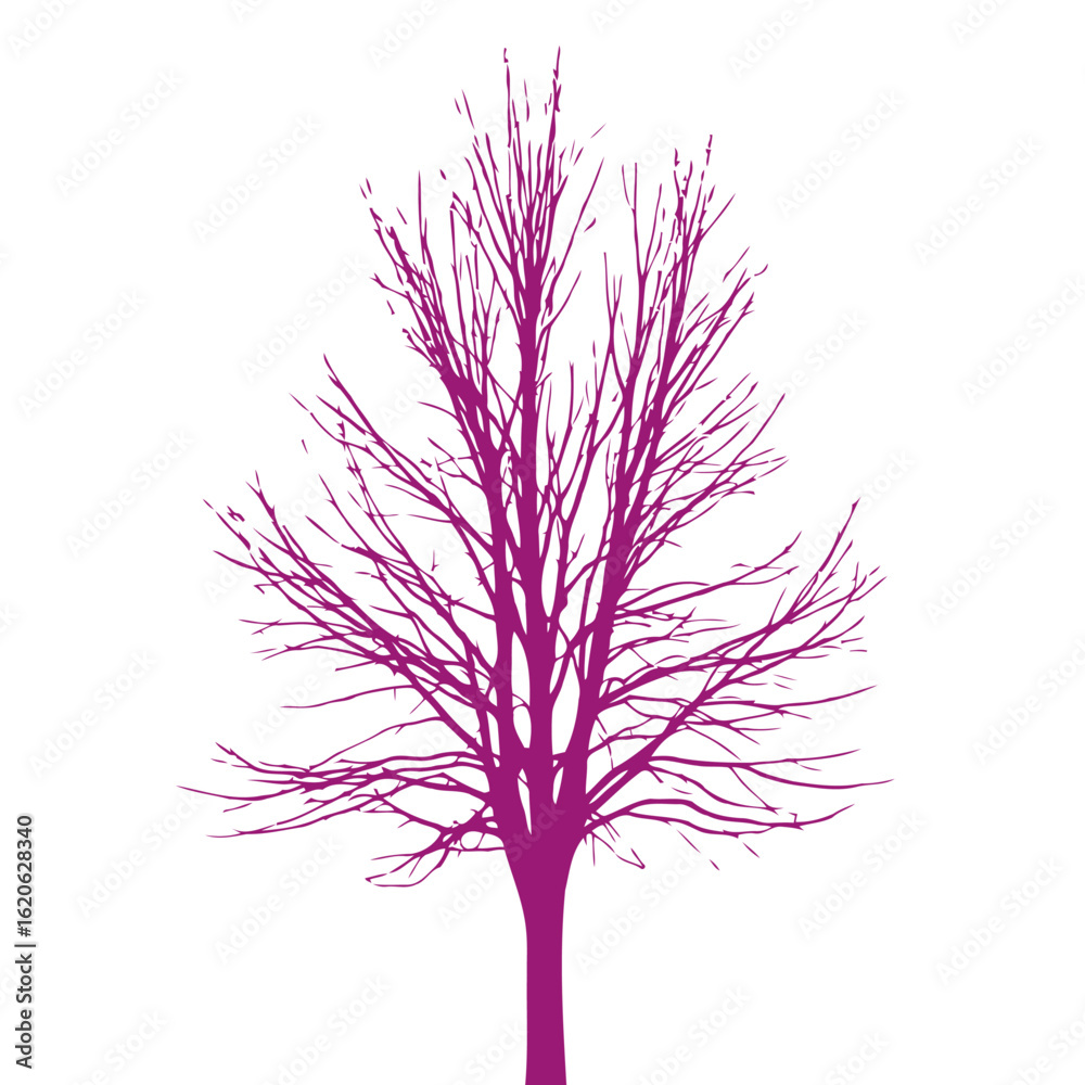Obraz premium majestic purple tree silhouette, isolated on transparent background: perfect for design projects
