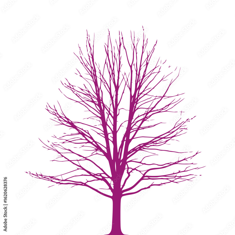 Obraz premium majestic purple silhouette of a leafless tree isolated on transparent background