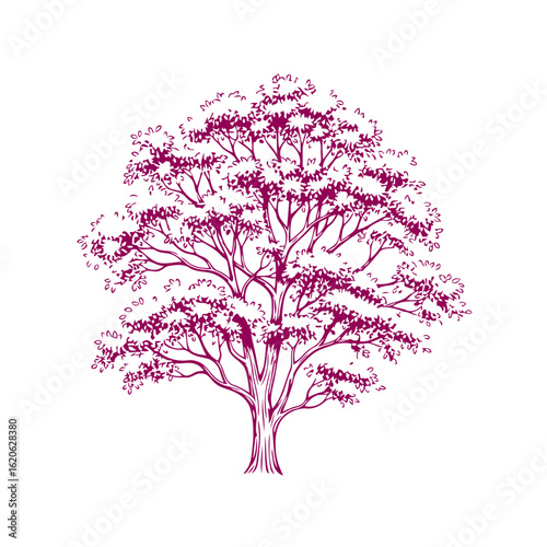 crimson tree silhouette: isolated vector illustration of a lush, autumnal tree