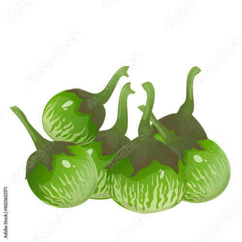 Thai eggplants, tropical vegetable is widely used in Southeast Asian cuisine. For food packaging, recipe books, restaurant menus, educational materials, blogs and farm market promotion