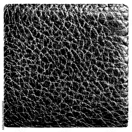 Close up of a black and white leather texture with a rough and detailed surface pattern design element
