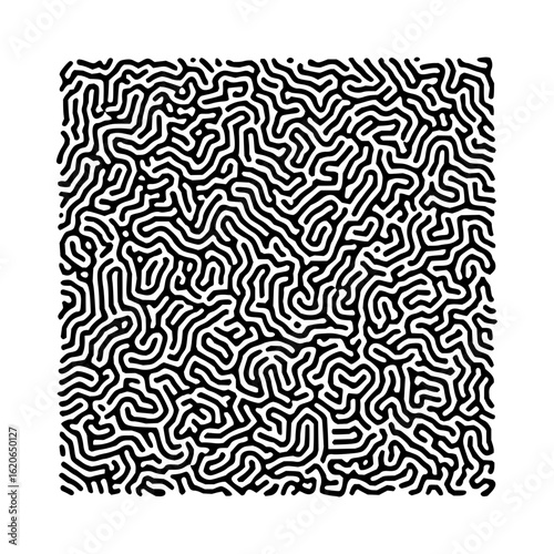 Black and white pattern featuring complex interwoven lines creating an abstract maze like design filling the space