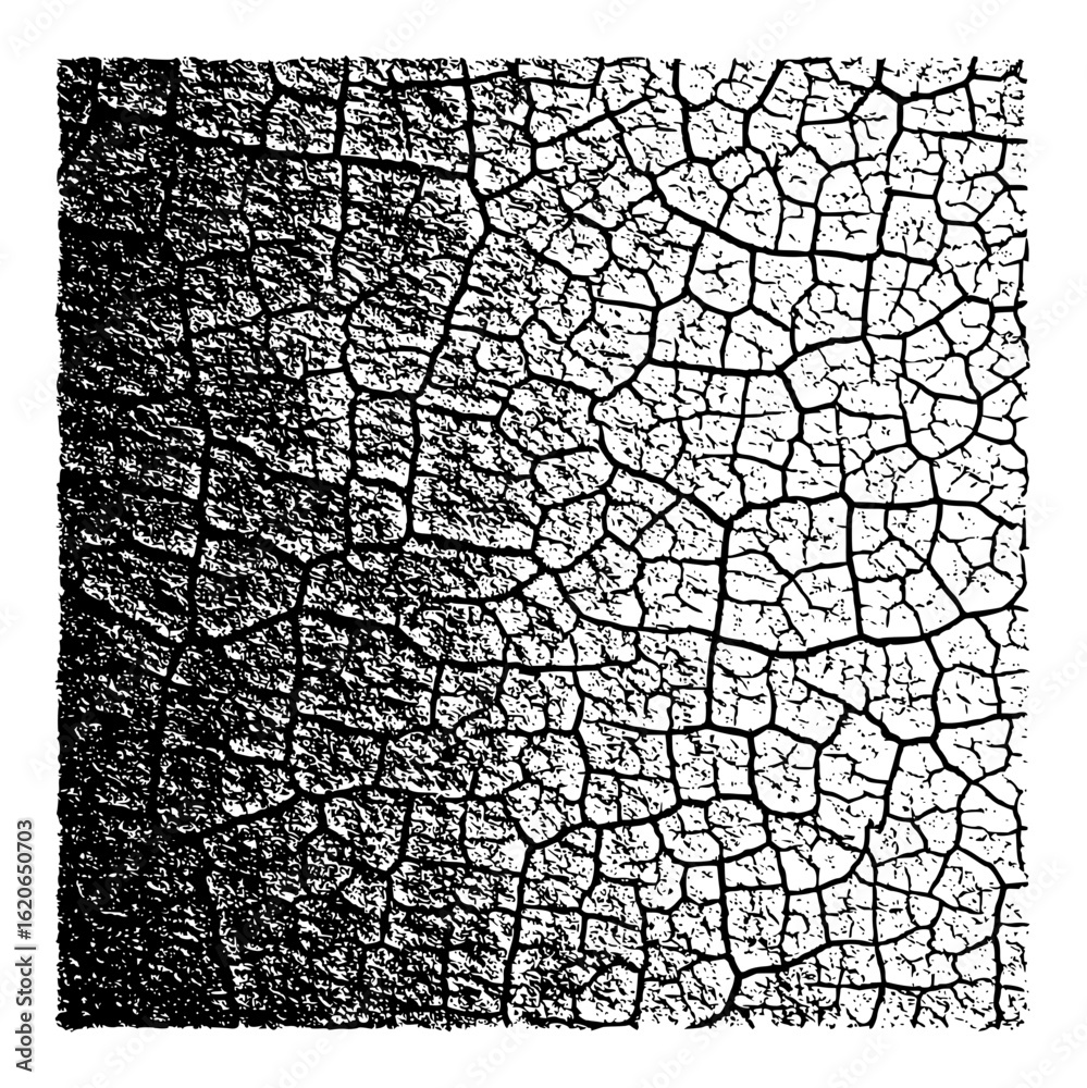 Black and white cracked texture with a gradient effect showing a dry and aged surface appearance detail Black and white cracked texture with a gradient effect showing a dry and aged surface appearance detail