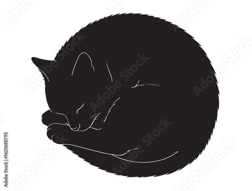 Cat silhouette curled up sleeping in a ball style, white background