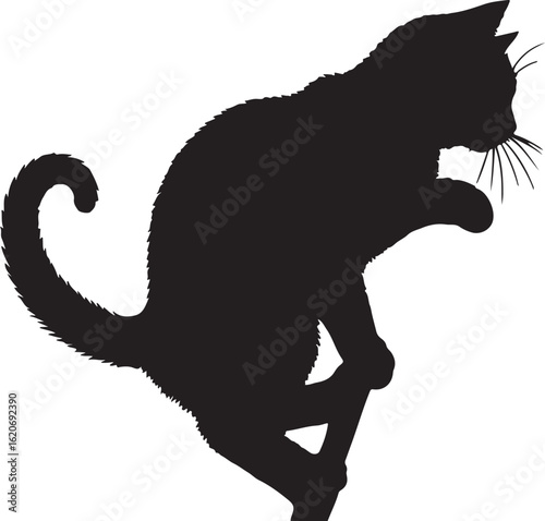 Silhouette of a cat climbing illustration on white background