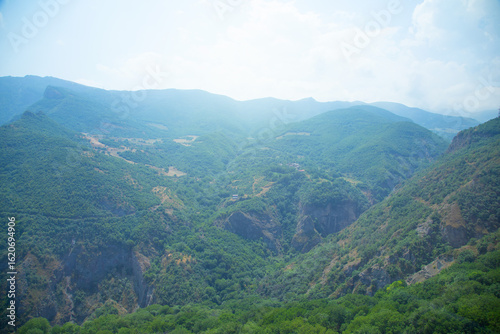 Green forest landscape. Beautiful view