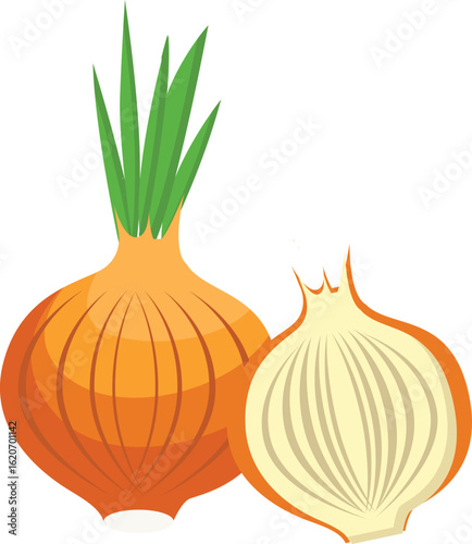 onion on a white background