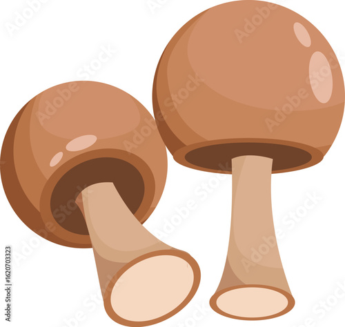 mushrooms on a white background