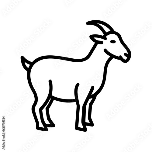 goat on white background