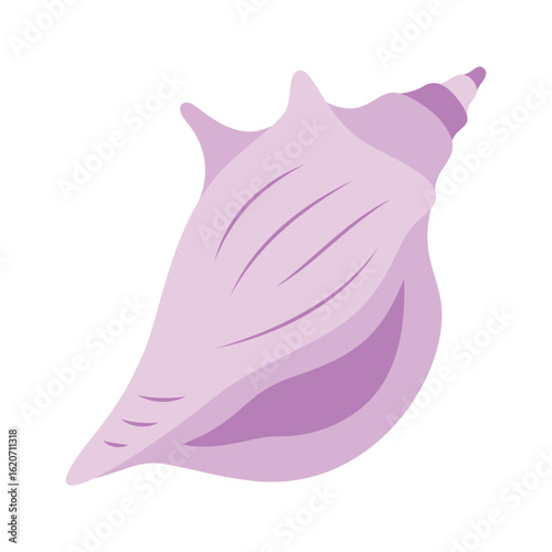 cartoon seashell, flat style