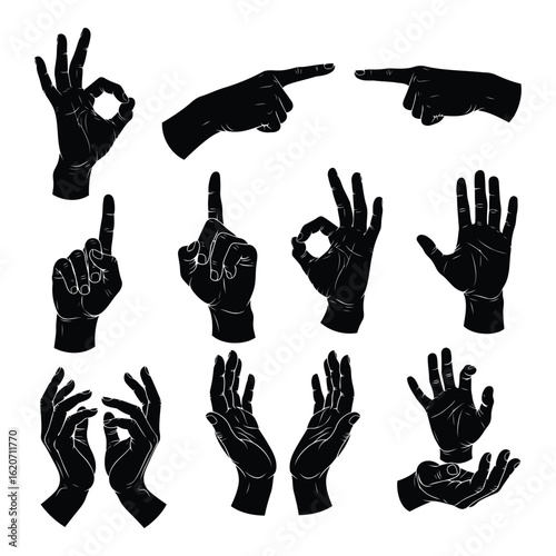 Art of collection of diverse hand gestures and poses isolated on white background, showcasing various finger positions and actions